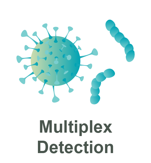 Multiplex